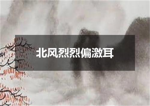 北风烈烈偏激耳