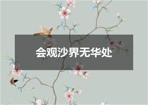 会观沙界无华处