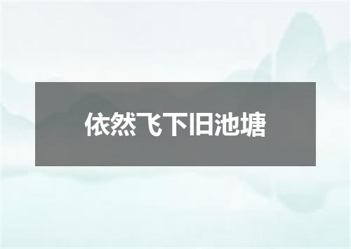 依然飞下旧池塘