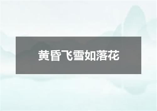 黄昏飞雪如落花