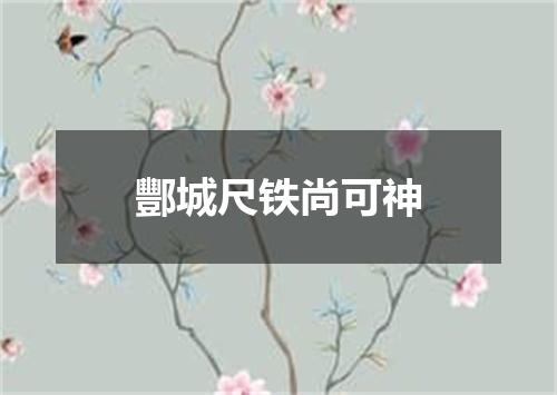酆城尺铁尚可神