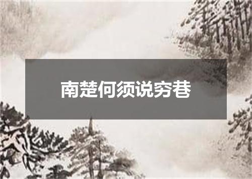 南楚何须说穷巷