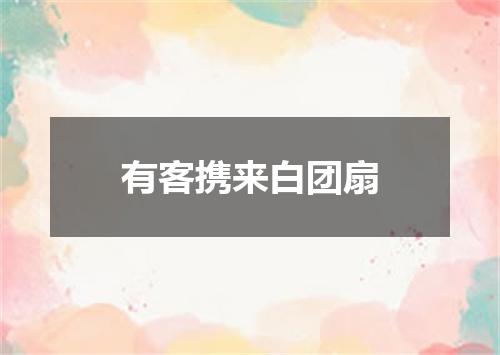 有客携来白团扇