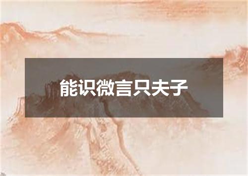 能识微言只夫子