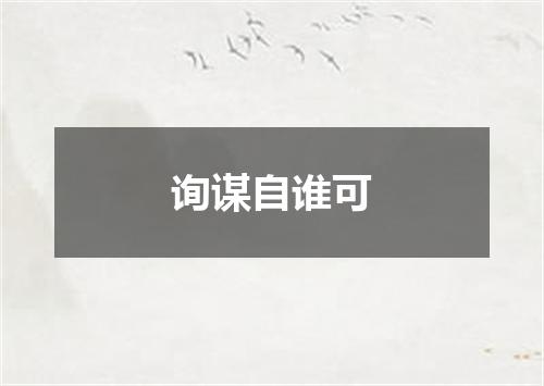询谋自谁可