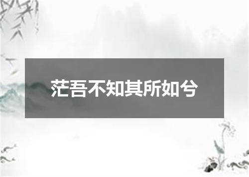 茫吾不知其所如兮