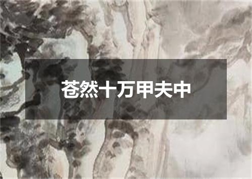 苍然十万甲夫中