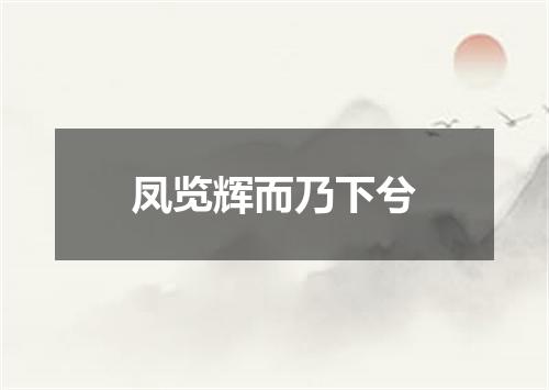 凤览辉而乃下兮