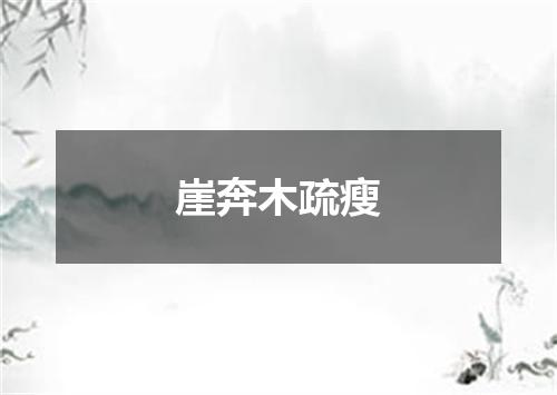 崖奔木疏瘦