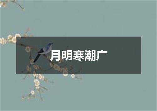 月明寒潮广
