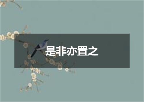是非亦置之