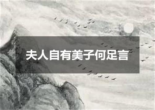 夫人自有美子何足言