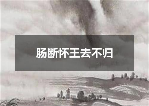 肠断怀王去不归