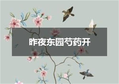 昨夜东园芍药开