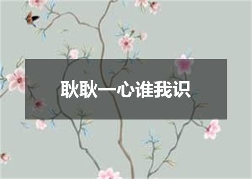 耿耿一心谁我识