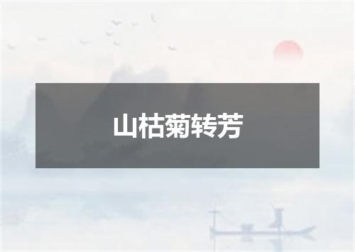山枯菊转芳