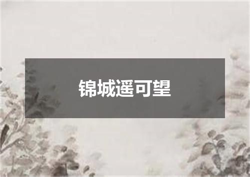 锦城遥可望
