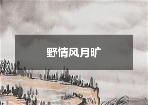 野情风月旷
