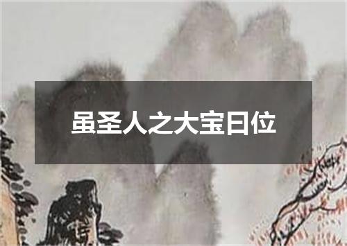 虽圣人之大宝曰位