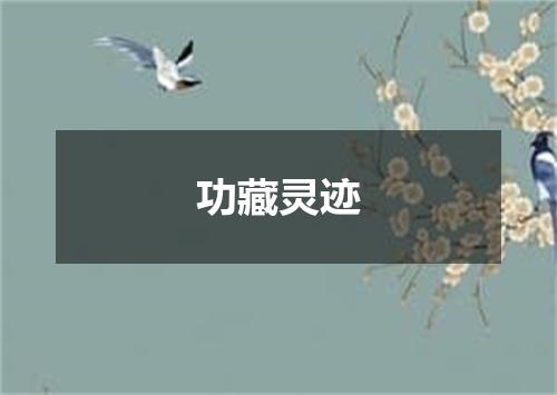 功藏灵迹