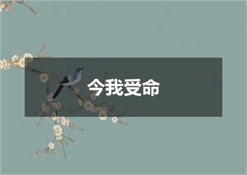 今我受命