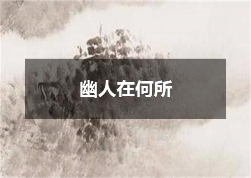 幽人在何所