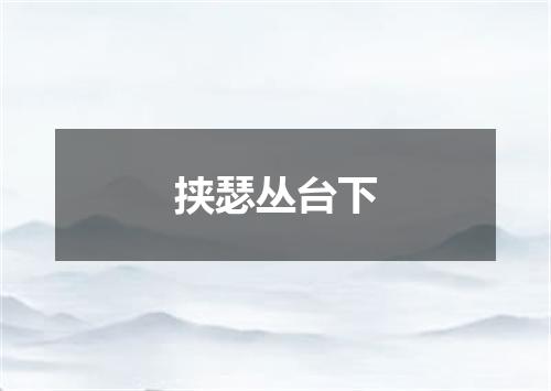 挟瑟丛台下