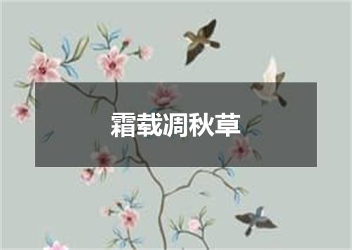 霜载凋秋草