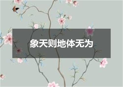 象天则地体无为