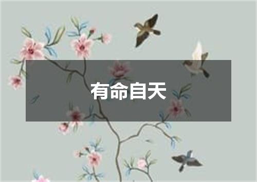 有命自天