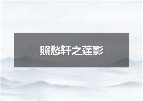 照愁轩之蓬影