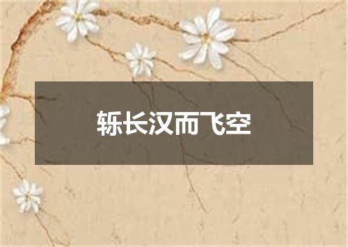 轹长汉而飞空