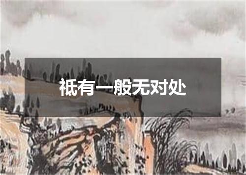 祗有一般无对处