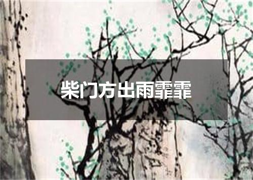 柴门方出雨霏霏