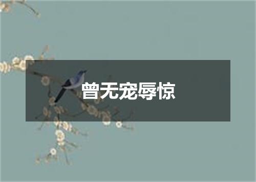 曾无宠辱惊