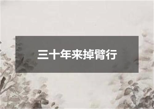 三十年来掉臂行