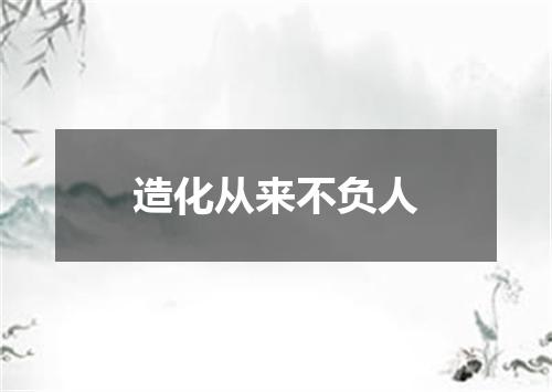 造化从来不负人