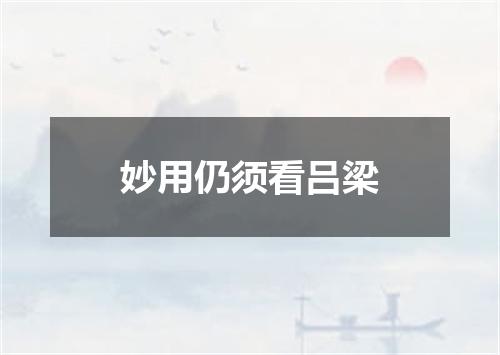 妙用仍须看吕梁