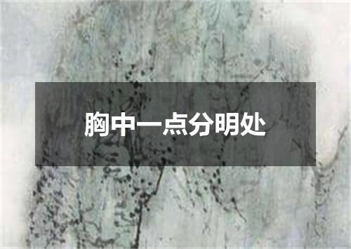 胸中一点分明处