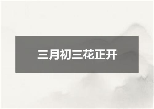 三月初三花正开