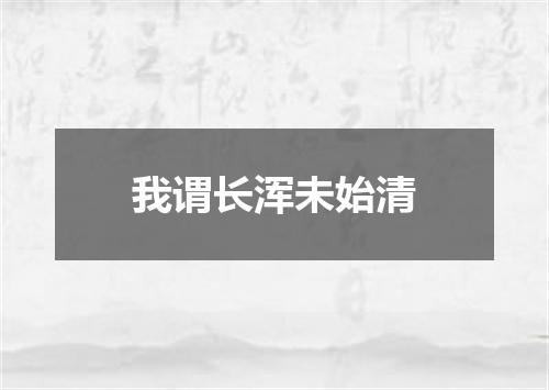 我谓长浑未始清