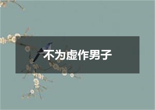 不为虚作男子