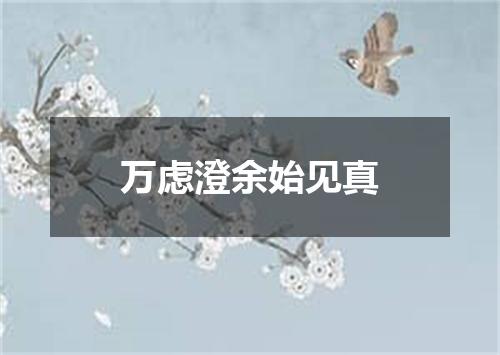 万虑澄余始见真