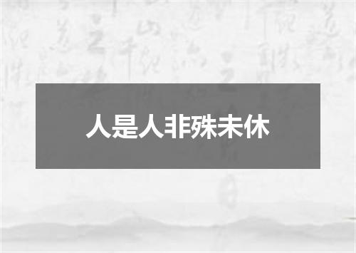 人是人非殊未休