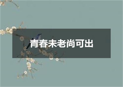 青春未老尚可出