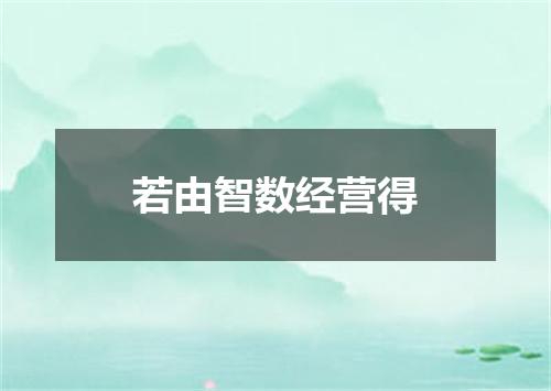 若由智数经营得
