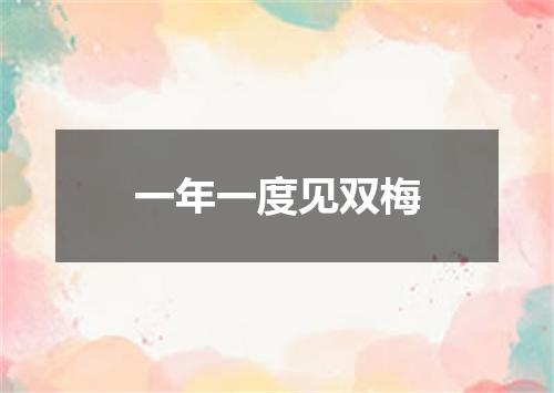 一年一度见双梅