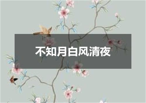 不知月白风清夜