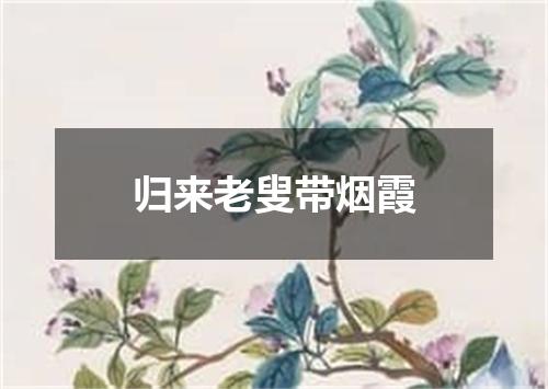 归来老叟带烟霞