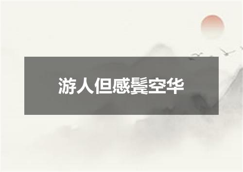 游人但感鬓空华